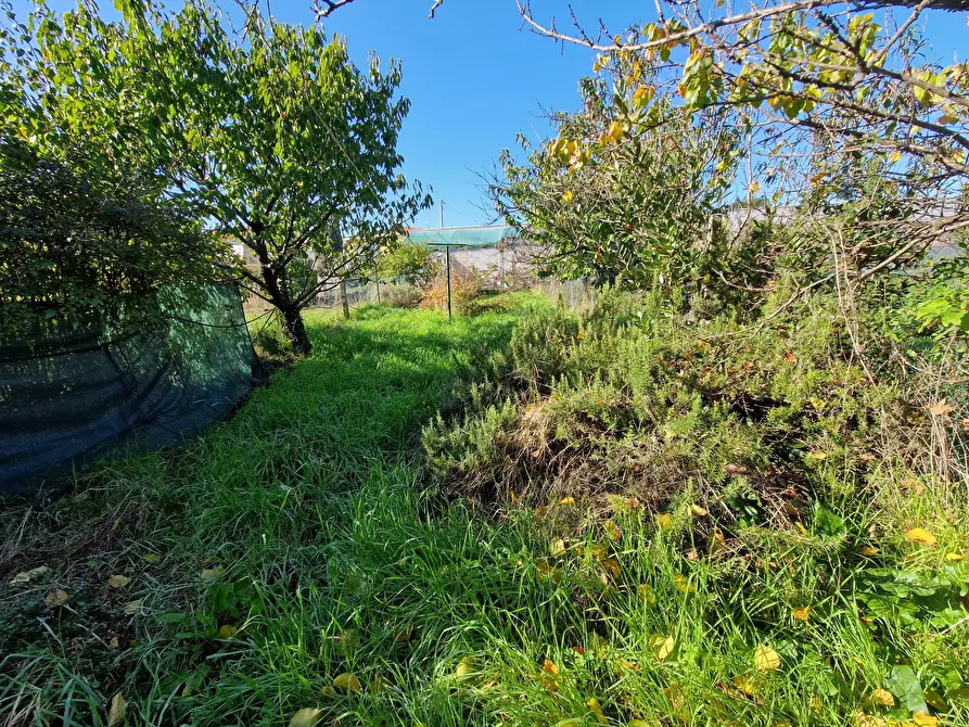 Immagine 38 di Terratetto in vendita  in Via Pasquinetti a Lucca