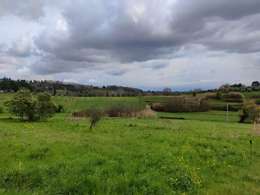 Immagine 7 di Rustico / casale in vendita  in Via Vicinale dello Stecchino a Lucca