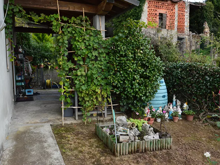Immagine 31 di Casa indipendente in vendita  in bollori a Lucca