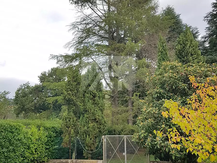 Immagine 37 di Villa in vendita  in Via di Villa Altieri 1179/A a Lucca