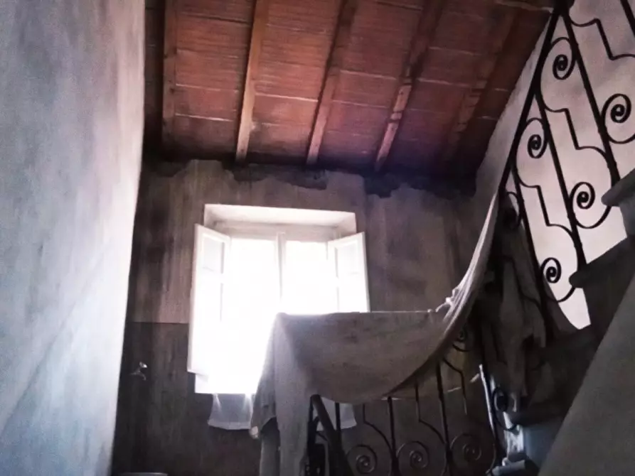 Immagine 5 di Villa in vendita  in Via di S.Donato a Lucca