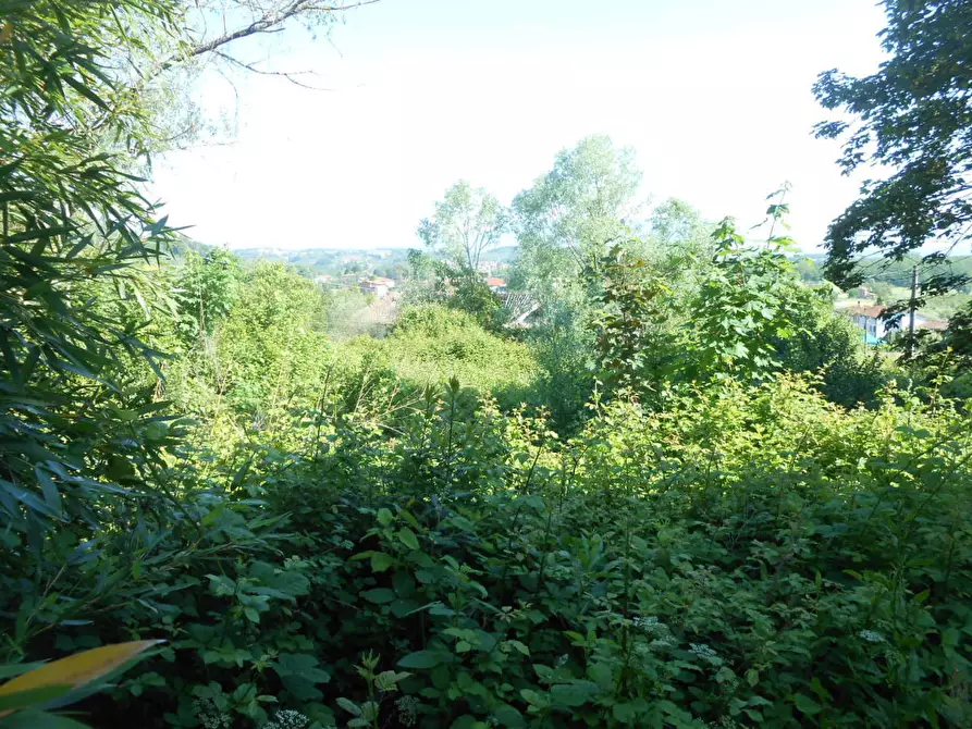 Immagine 37 di Rustico / casale in vendita  in via della pieve a Capannori