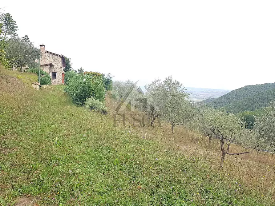 Immagine 39 di Rustico / casale in vendita  in di ronchi a Capannori