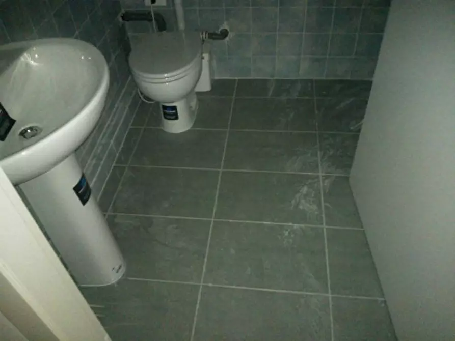 Immagine 4 di Capannone industriale in vendita  in Viale G. Puccini a Lucca