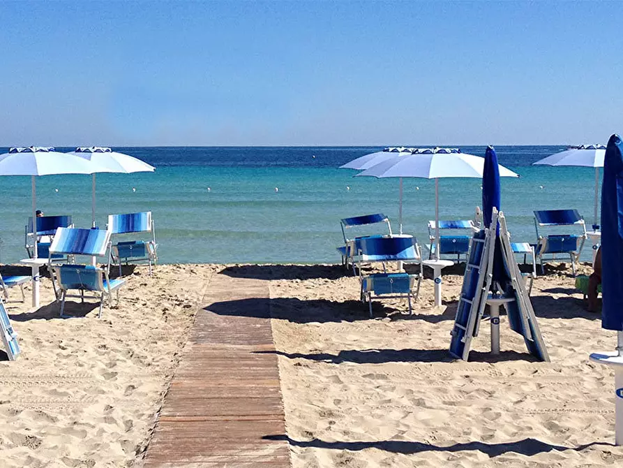 Immagine 9 di Attività commerciale in vendita  in Viale Regina Margherita a Viareggio