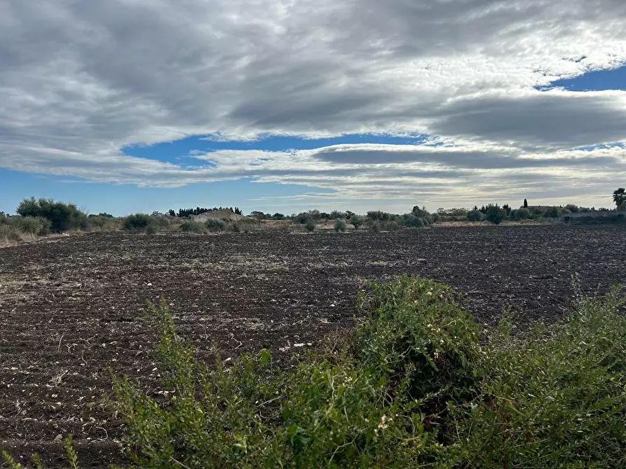 Immagine 4 di Terreno agricolo in vendita  a Siracusa