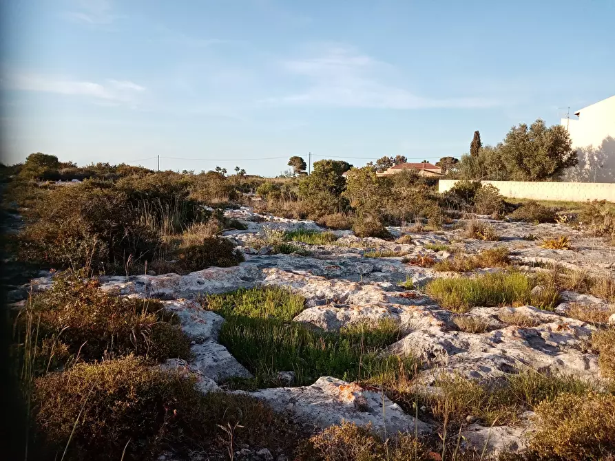 Immagine 4 di Terreno agricolo in vendita  a Siracusa