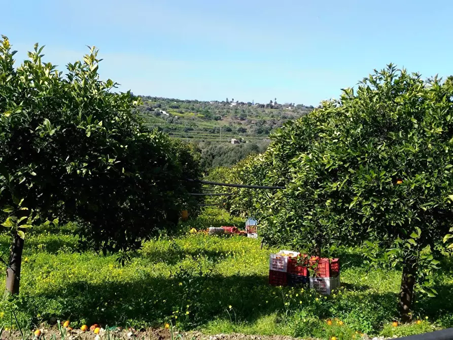 Immagine 13 di Terreno agricolo in vendita  a Siracusa