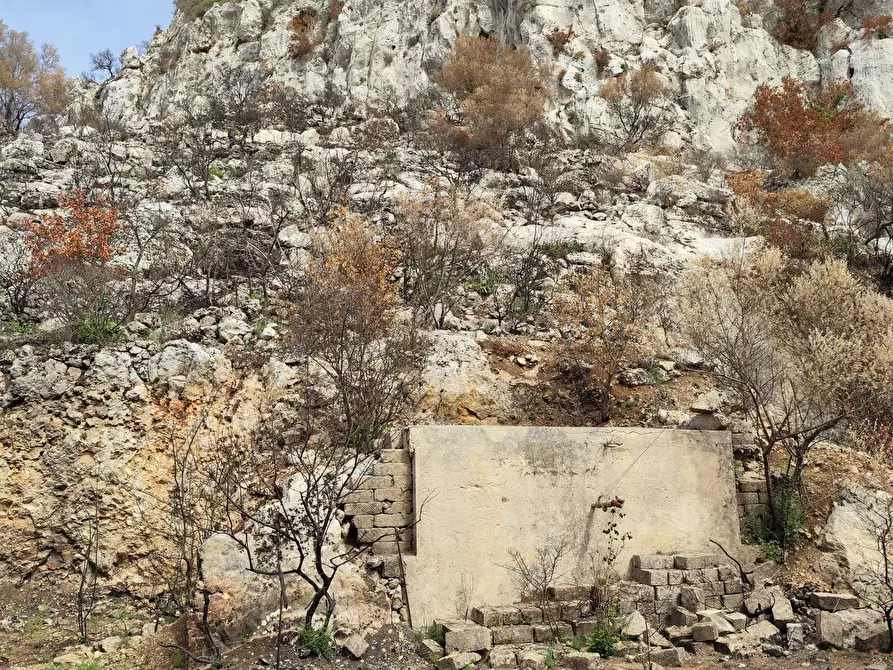 Immagine 6 di Terreno agricolo in vendita  a Melilli