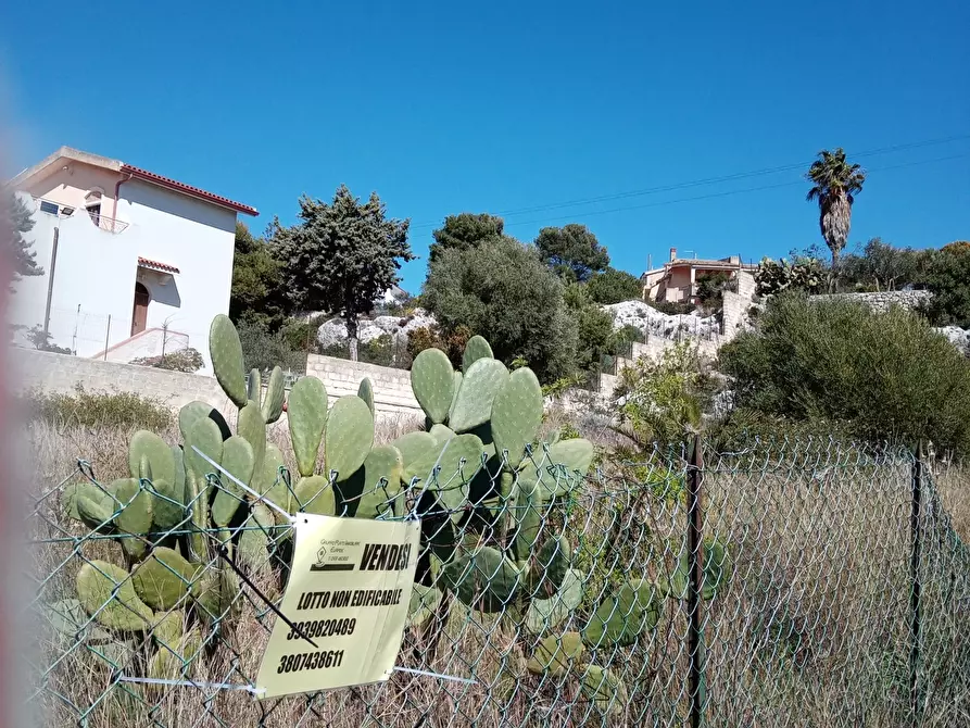 Immagine 4 di Terreno agricolo in vendita  a Siracusa