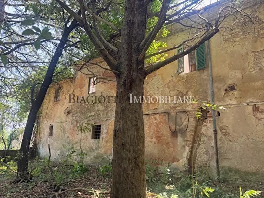 Immagine 18 di Rustico / casale in vendita  a Livorno