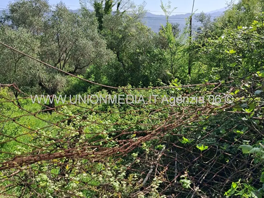 Immagine 3 di Terreno edificabile in vendita  a Arcola