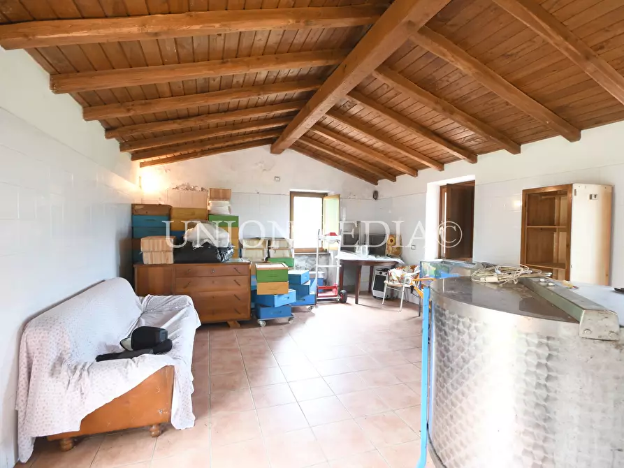 Immagine 9 di Casa indipendente in vendita  in via canepari a Fosdinovo