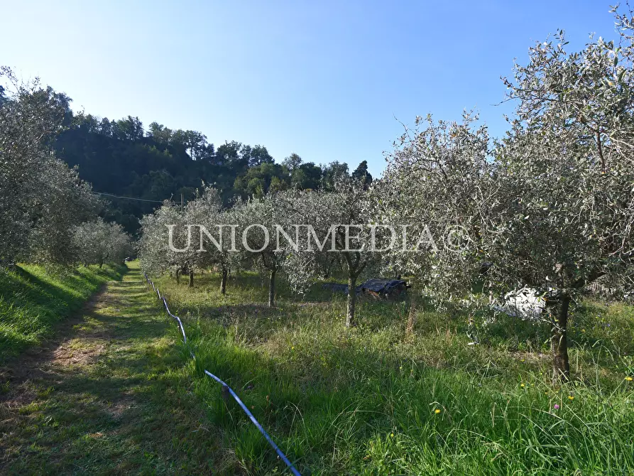 Immagine 31 di Casa indipendente in vendita  in Via boccognano a Fosdinovo