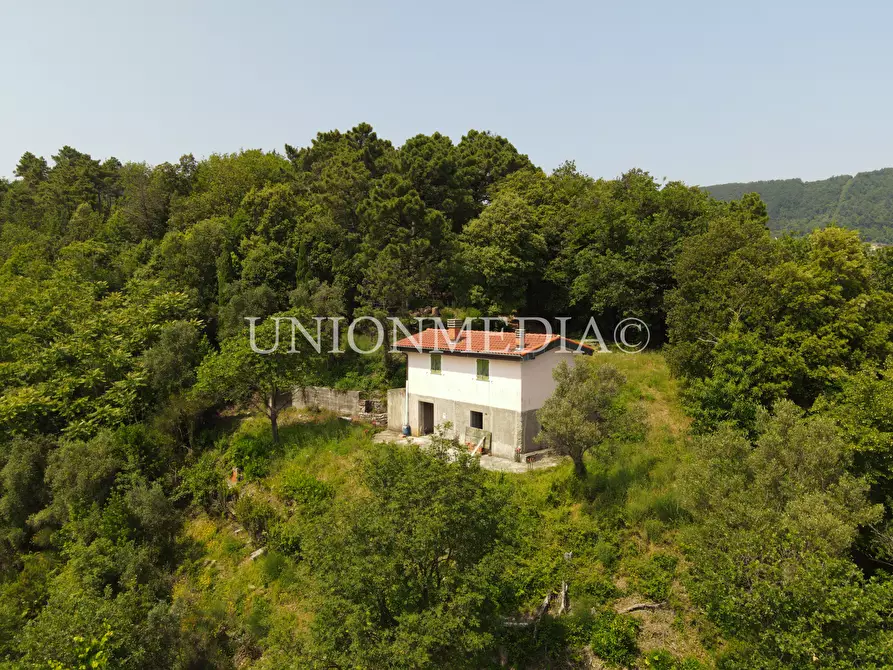 Immagine 34 di Rustico / casale in vendita  in via carignano a Fosdinovo