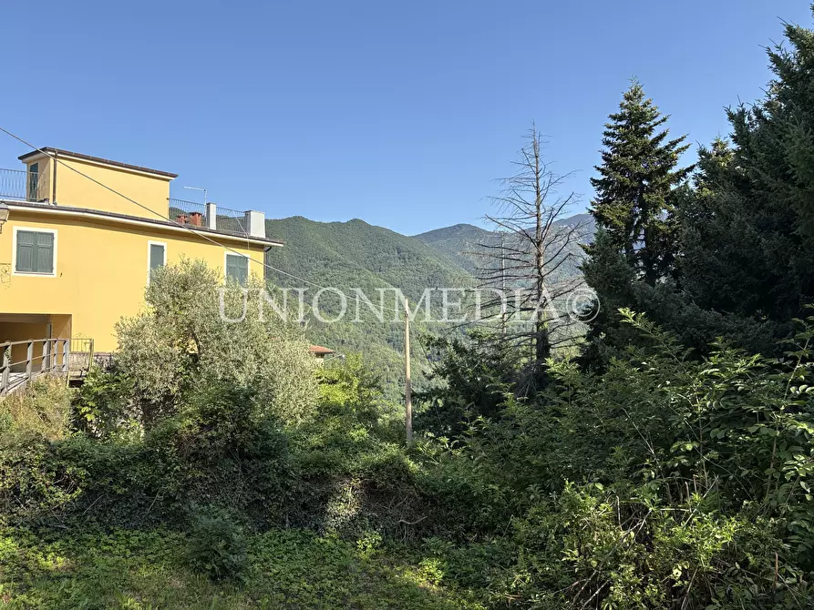 Immagine 10 di Casa semindipendente in vendita  in via della costa 19 a Sesta Godano