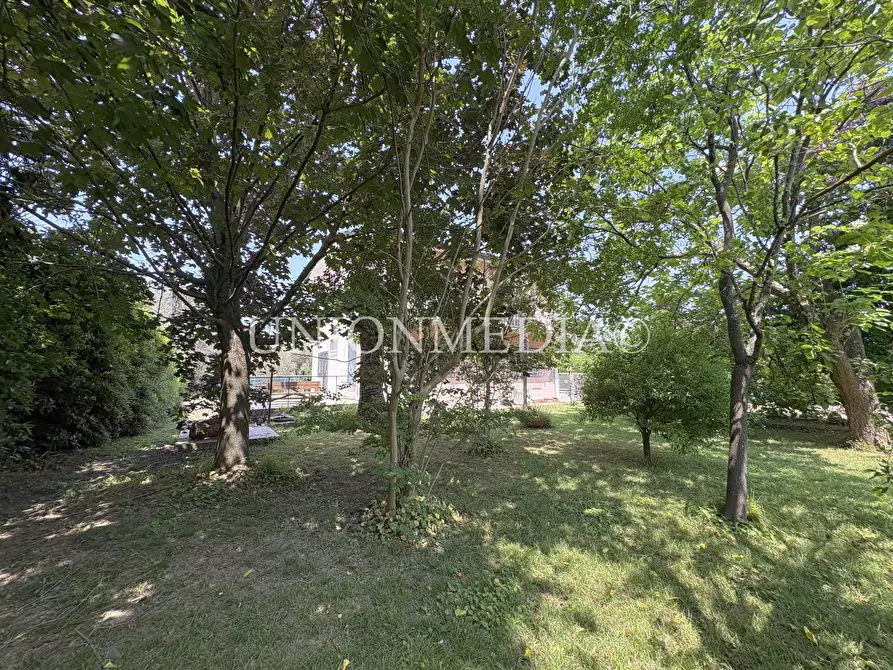 Immagine 5 di Casa indipendente in vendita  in Via bradiola a Sarzana