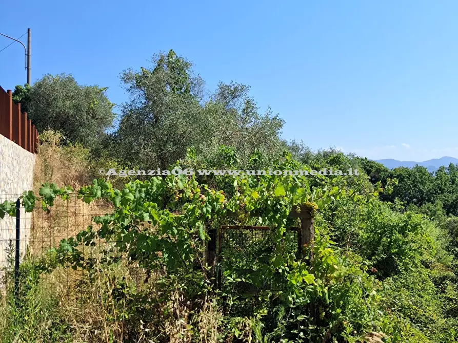 Immagine 2 di Rustico / casale in vendita  a Arcola