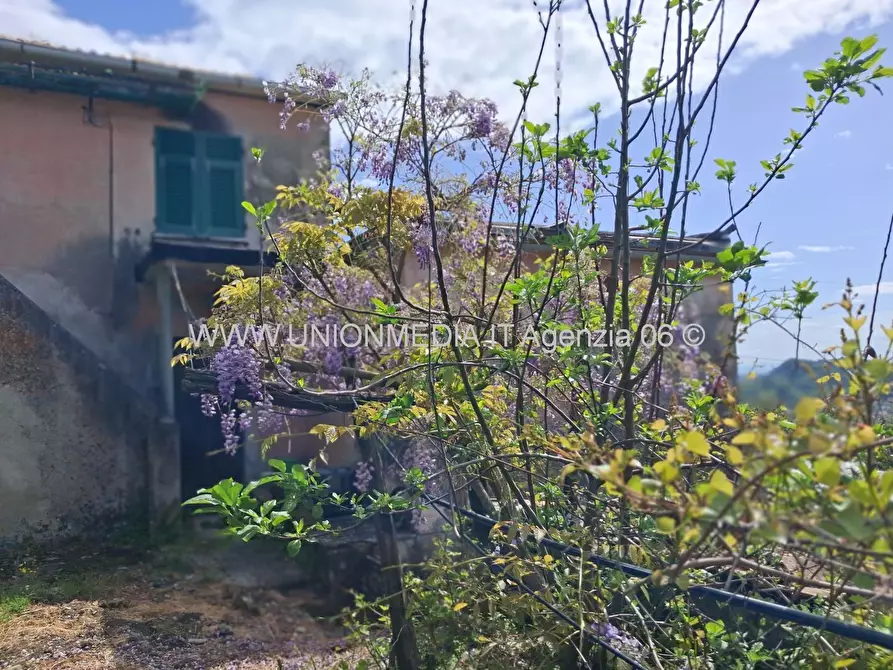 Immagine 5 di Casa indipendente in vendita  a Arcola