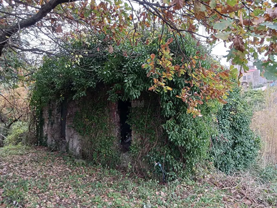 Immagine 3 di Casa indipendente in vendita  a Arcola