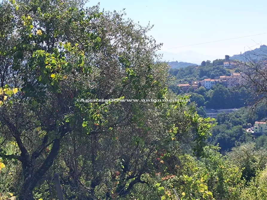 Immagine 9 di Rustico / casale in vendita  a Arcola