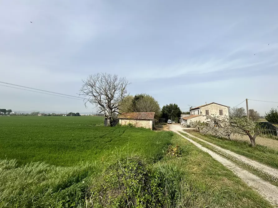 Immagine 2 di Rustico / casale in vendita  in Via Rubicone Sinistra 17 a Gatteo