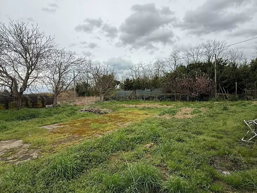 Immagine 14 di Rustico / casale in vendita  in Via Rubicone Sinistra 17 a Gatteo