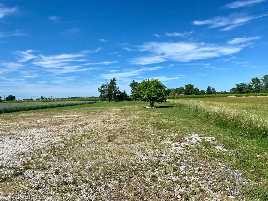 Immagine 4 di Attività artigianale in vendita  in Via Pauluzza 9 a Forli'