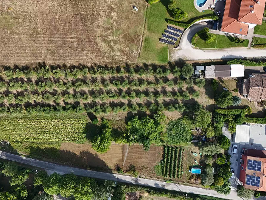 Immagine 37 di Villa in vendita  in Via Laerte Rolfini a Rimini