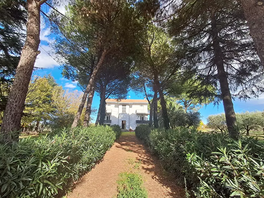 Immagine 1 di Quadrilocale in vendita  a Verucchio