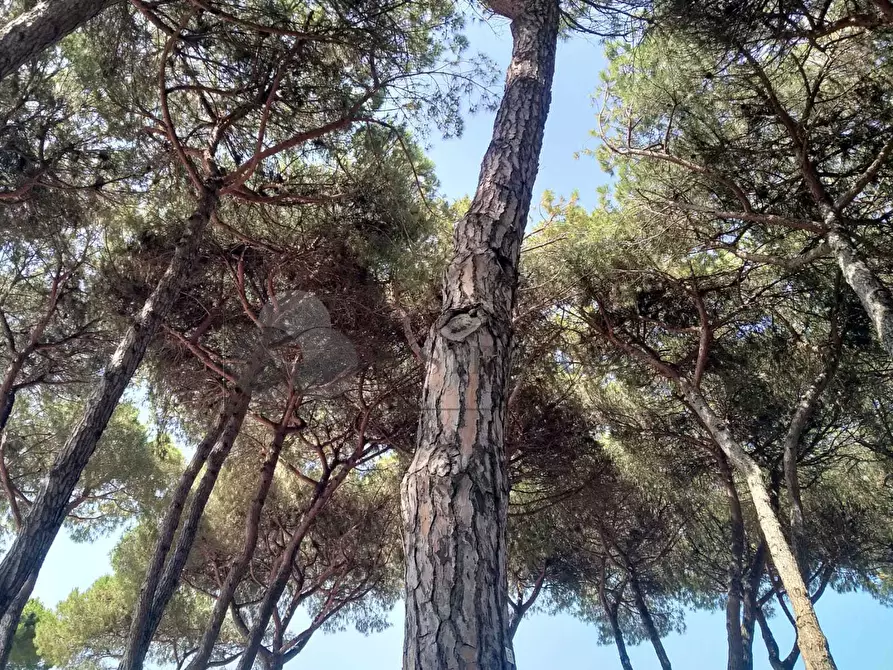 Immagine 16 di Bilocale in vendita  a Sarzana