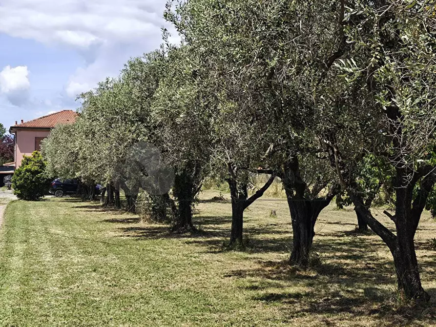 Immagine 20 di Casa indipendente in vendita  a Sarzana