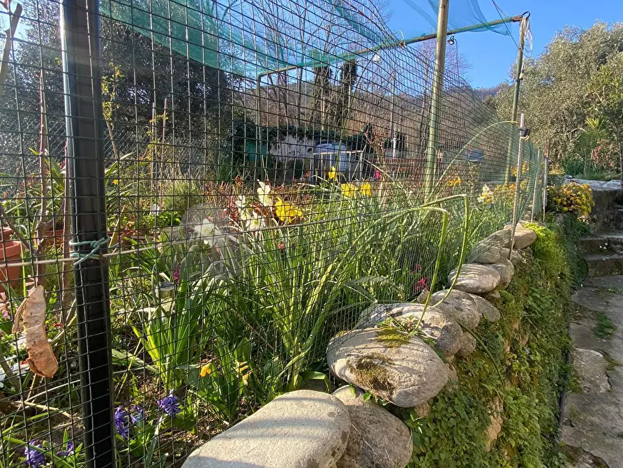 Immagine 5 di Porzione di casa in vendita  in Via San Rocco 9 a Follo