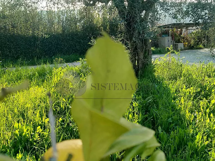 Immagine 17 di Casa indipendente in vendita  a Sarzana