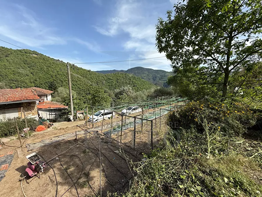 Immagine 39 di Casa indipendente in vendita  in localitò pian del soglio a Apricale