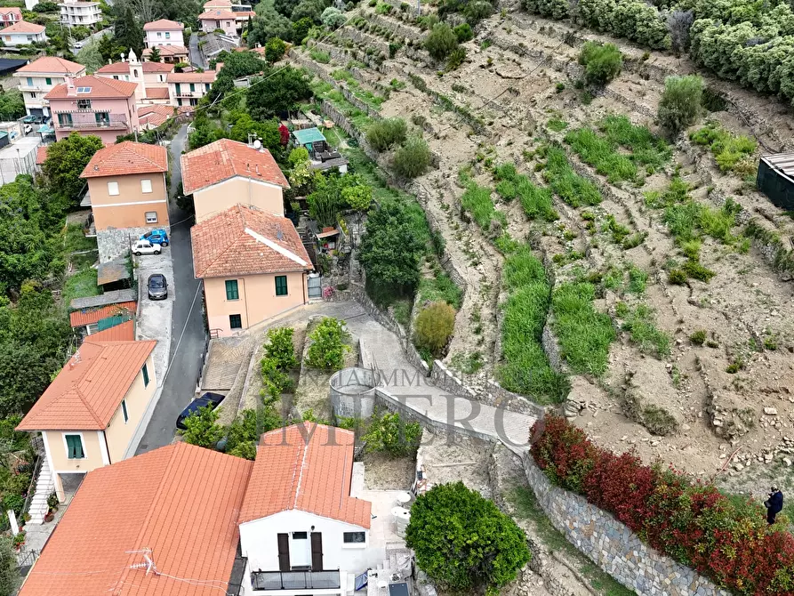 Immagine 27 di Terreno agricolo in vendita  in Via Anacleto Hughes 22/A a Ventimiglia