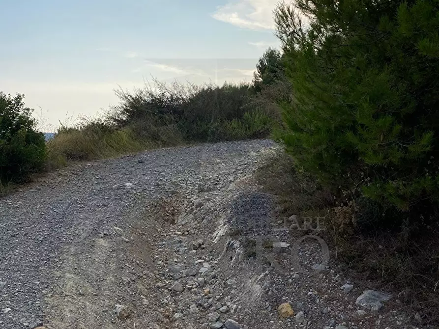 Immagine 19 di Terreno agricolo in vendita  in Via alla Stazione 40 a Ventimiglia