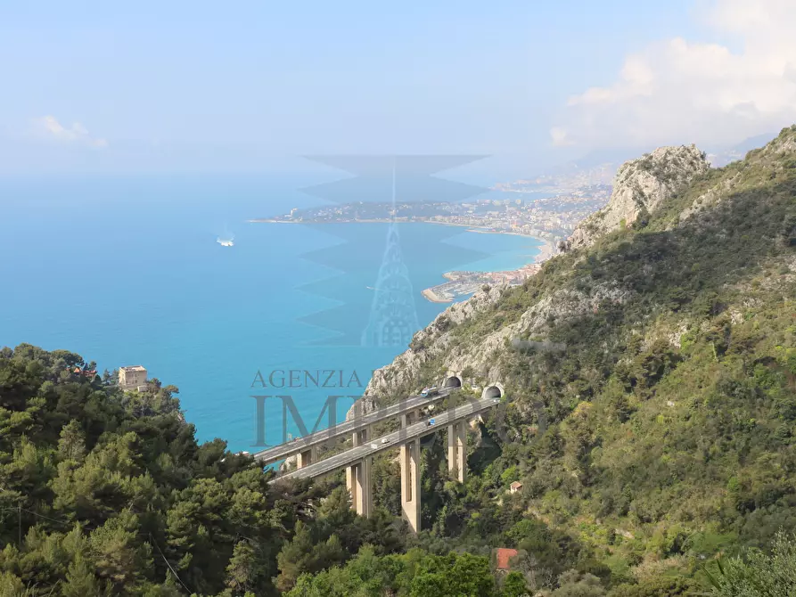 Immagine 15 di Terreno agricolo in vendita  in Via Case Gina 13 a Ventimiglia