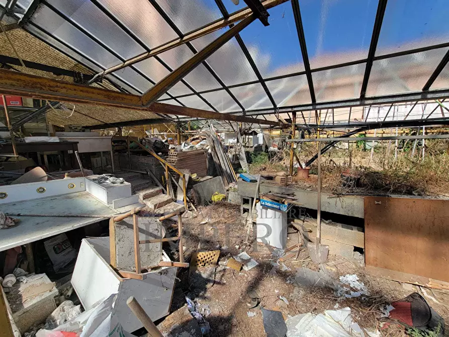 Immagine 16 di Magazzino in vendita  in Strada Statale 1 35 a Camporosso