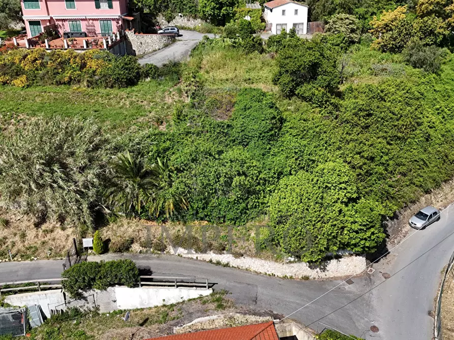 Immagine 3 di Terreno edificabile in vendita  in Via L. Alborno 1 a Ventimiglia