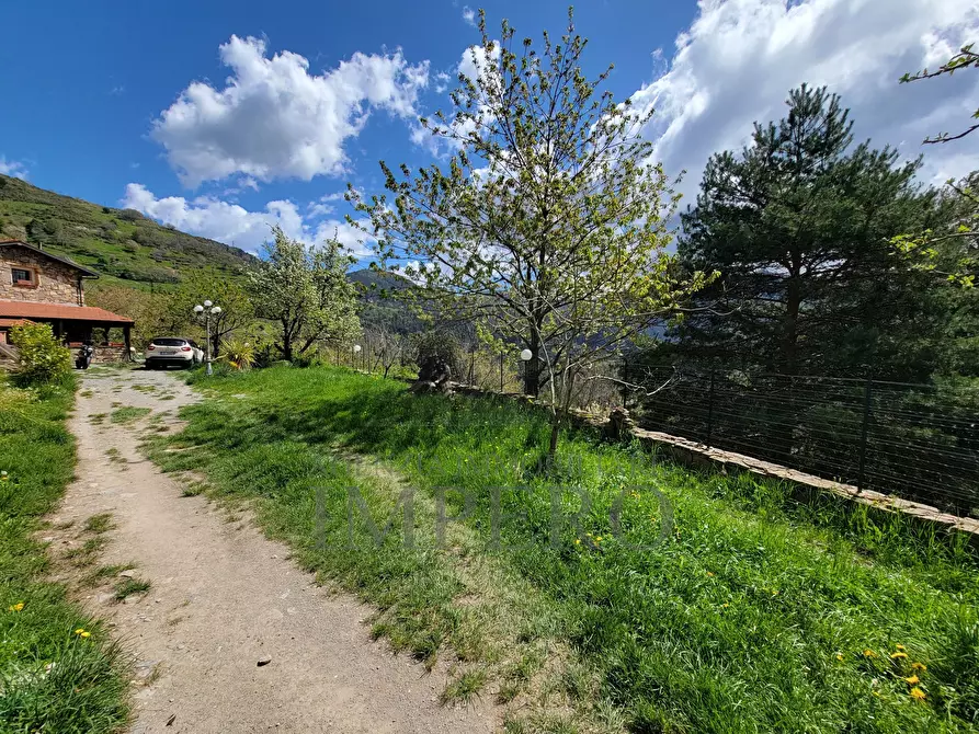 Immagine 38 di Casa indipendente in vendita  in Strada Provinciale 65 65 a Castel Vittorio