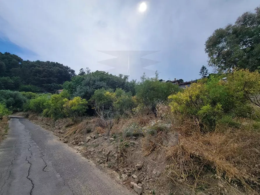 Immagine 11 di Terreno agricolo in vendita  in Via delle Otto Case 1 a Ventimiglia