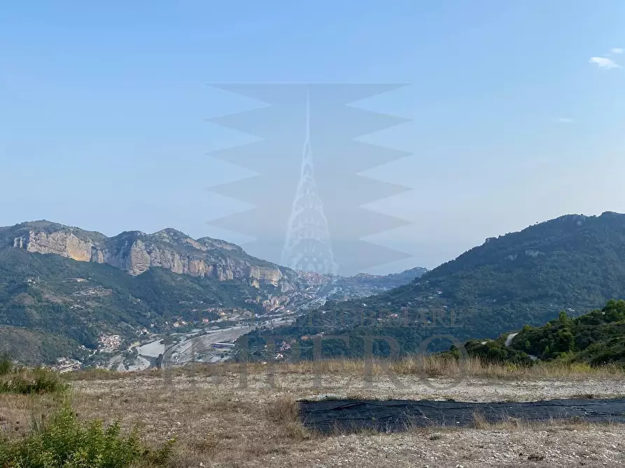 Immagine 2 di Terreno agricolo in vendita  in Via alla Stazione 40 a Ventimiglia