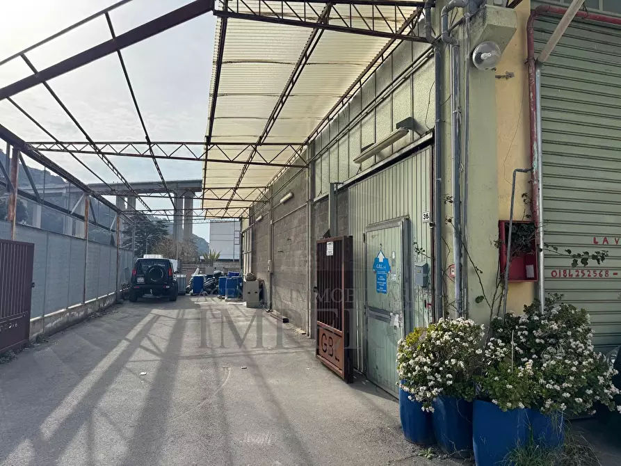 Immagine 5 di Attività artigianale in vendita  in Via Braie a Camporosso