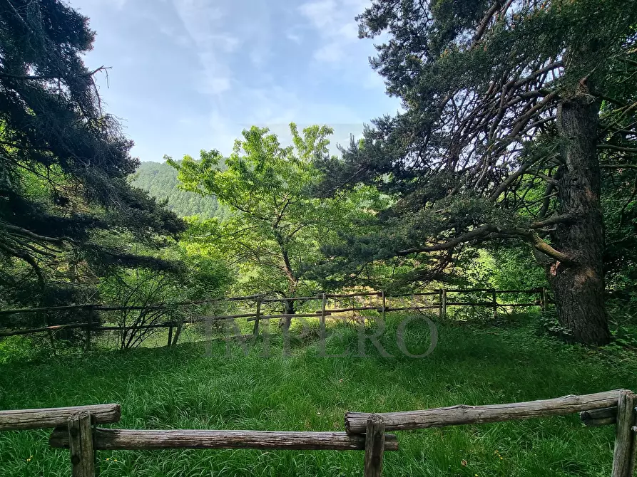 Immagine 26 di Baita in vendita  in Alta Via dei Monti Liguri 11 a Rocchetta Nervina