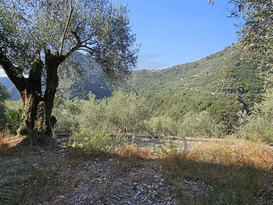 Immagine 13 di Rustico / casale in vendita  in Località Para a Airole
