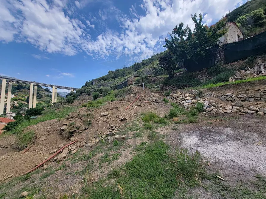 Immagine 4 di Terreno agricolo in vendita  in Via Anacleto Hughes 22/A a Ventimiglia