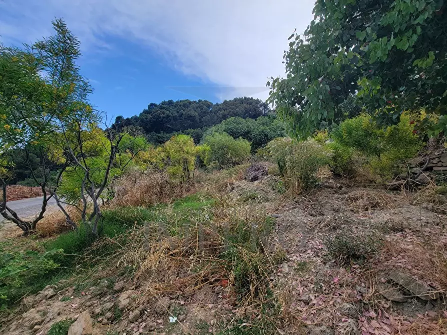 Immagine 7 di Terreno agricolo in vendita  in Via delle Otto Case 1 a Ventimiglia