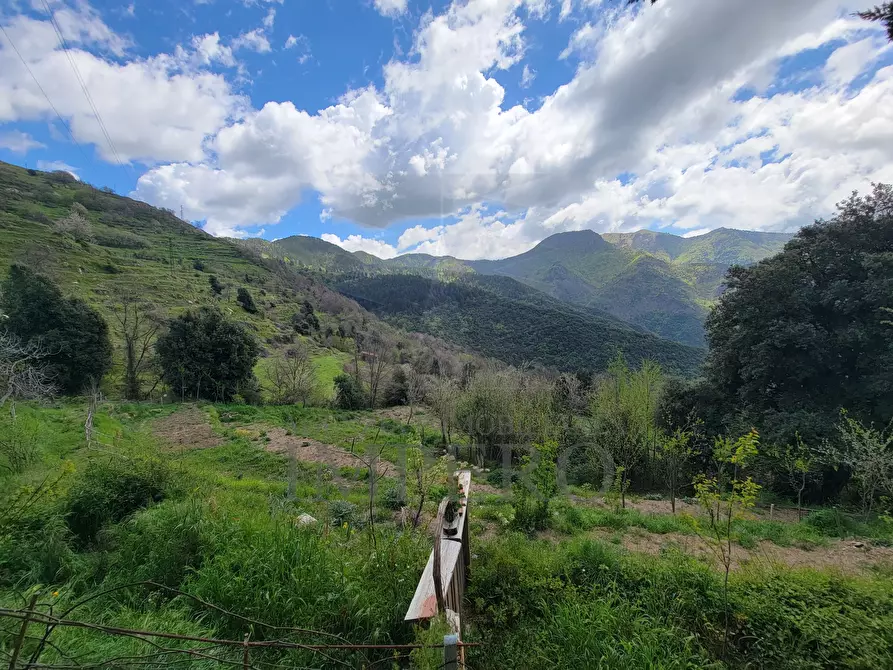 Immagine 49 di Casa indipendente in vendita  in Strada Provinciale 65 65 a Castel Vittorio