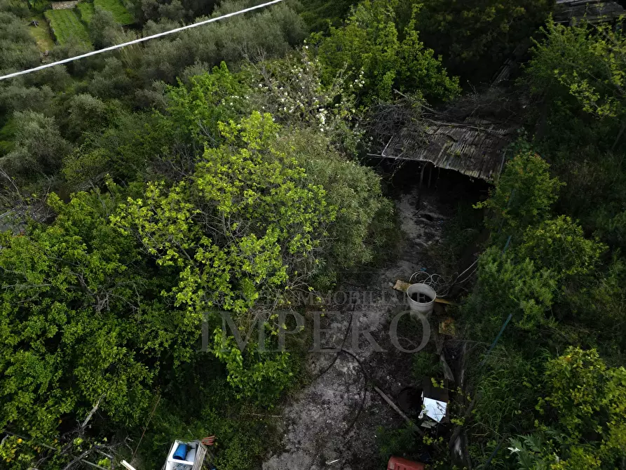 Immagine 5 di Terreno agricolo in vendita  in Strada San Sinforiano a San Biagio Della Cima